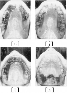 Palatogrammes