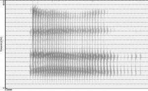 Spectrogramme de la voyelle [a]
