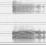 Spectrogramme de la voyelle [ɑ̃]