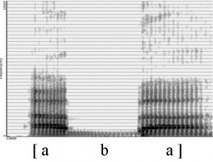 Spectrogramme de la consonne [b]