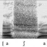 Spectrogramme de la consonne [ʃ]