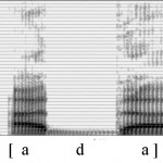 Spectrogramme de la consonne [d]