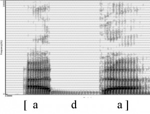 Spectrogramme de la consonne [d]