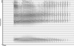 Spectrogramme de la voyelle [e]