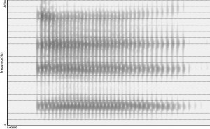 Spectrogramme de la voyelle [ɛ]