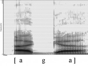 Spectrogramme de la consonne [g]