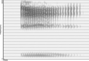 Spectrogramme de la voyelle [i]