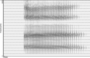 Spectrogramme de la voyelle [ɛ̃]