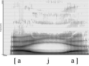 Spectrogramme de la glide [j]
