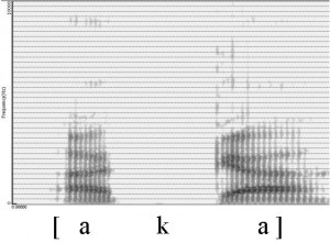 Spectrogramme de la consonne [k]
