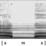 Spectrogramme de la consonne [m]