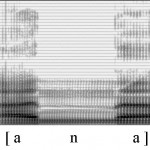 Spectrogramme de la consonne [n]