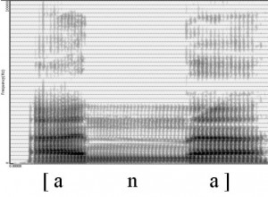 Spectrogramme de la consonne [n]