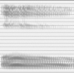 Spectrogramme de la voyelle [o]