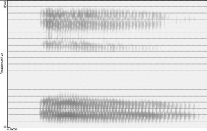 Spectrogramme de la voyelle [o]