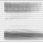 Spectrogramme de la voyelle [ɔ̃]