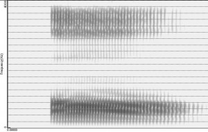 Spectrogramme de la voyelle [ɔ̃]