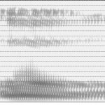 Spectrogramme de [u]