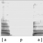 Spectrogramme de la consonne [p]