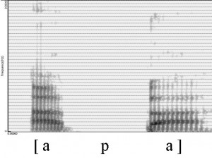 Spectrogramme de la consonne [p]