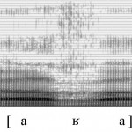Spectrogramme de la consonne [ʁ]