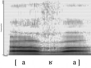 Spectrogramme de la consonne [ʁ]