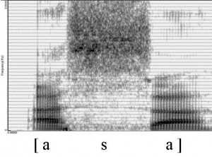 Spectrogramme de la consonne [s]