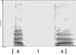 Spectrogramme de la consonne [t]