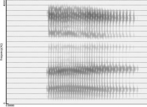 Spectrogramme de la voyelle [œ̃]