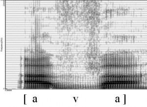 Spectrogramme de la consonne [v]