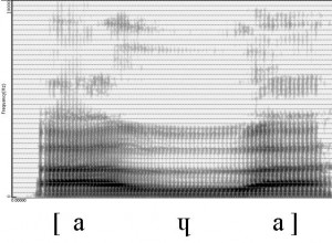 Spectrogramme de la consonne [ɥ]