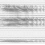 Spectrogramme de la voyelle [y]