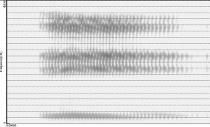 Spectrogramme de la voyelle [y]